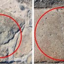 칠성자원 이미지