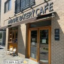💛전주 만성동카페 빵지순례하기 좋은 앤드원카페💛다녀온후기&lt;치아바타샌드위치&gt;