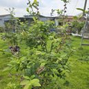 가히부동산공인중개사사무소 이미지