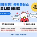 동백이네 이미지