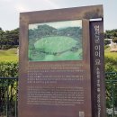 영신군이이묘 이미지