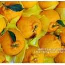 지윤농장 이미지