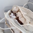 만덕24시동물병원 | 송파 24시 샤인 동물병원, 고양이 심장병 hcm 재검 후기