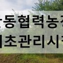 정용 농장 이미지