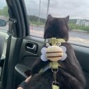 미리내동물병원 이미지