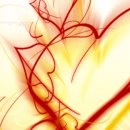 세이너스 이미지