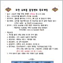 도안슈퍼볼 이미지