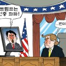 29 이미지