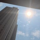 노웨이에세럼 비건 선스틱 추천! 간편하게 발리는 백탁없는 썬스틱
