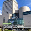 쇼팡 - 동대문구 | 도쿠시마 호텔 추천, JR 클레멘트 숙소 위치 더블룸 조식 후기