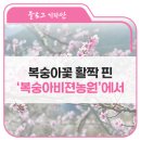 김대식농장 이미지