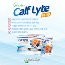 넥서스트레이더스 이미지