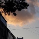 인천백학초등학교 이미지