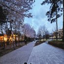 세븐일레븐 경의숲길점 | 경의선숲길 벚꽃길 책거리-서강대-대흥-공덕