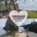 푸른숲약국 | [제주도 버스투어 핫플트립 후기] 동부감성투어 + 동문야시장 완전 정복 뚜벅이도 가능한 렌터카 없는...