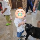 와수로216번길19 집 옆 | 인천 아이와 가볼만한 곳<쥬벅스>｜4살아이랑 실내동물원 입장료·먹이주기체험·주차 후기 🤗