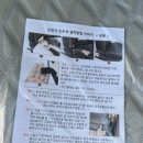 진이샵