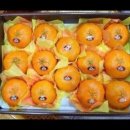 다미농장 이미지