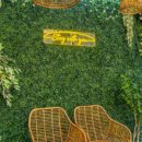 스테이9351 이미지