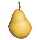 SNPE 바른자세 척추운동 이미지