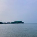 우리집옛날보리밥칼국수