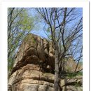 관문초등 이미지