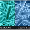 (주)이삼오구 이미지