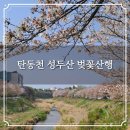 과학로(유성-8) | 대전 탄동천 성두산 벚꽃산행 대전교육정보원 원점회귀 등산코스