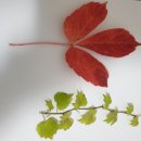 토정축산 이미지