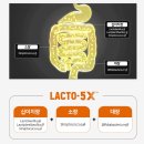 골드 | 하루 한 포, 건강을 지키다! 종근당건강 락토핏 생 유산균 골드 솔직 후기