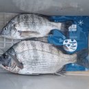 약산면-2 이미지