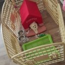 천지추 애견샵 이미지