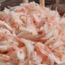 생생새우 이미지