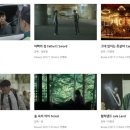 그린필름(GREEN FILM) 노컷뉴스