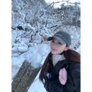 배내무등골길 | 울산 울주군 ⛰간월산·신불산·영축산(간신영) 연계 눈꽃산행 후기️⛰️⛰️