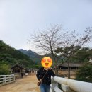 야심한형제들
