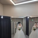 로아나 | 100만원 초반 갓성비 드레스샵 로아나블랑 피팅 후기