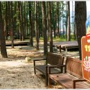 용대LPG충전소 이미지