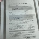 더라인부동산중개 | 청년버팀목전세대출 월세보증금 지원, 25년도 하반기 신한은행 후기, 필요서류, 타임라인