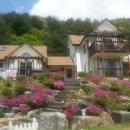 봉평 물소리펜션 이미지