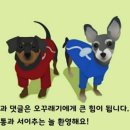 해밀예당1로200번길2 이미지