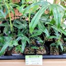 새통영농협 하나로마트죽림점 이미지