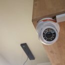 고성오조로 이미지