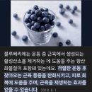 수원-0937 | 로드FC 수원 (주짓수, 킥복싱) 운동 후기!