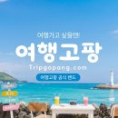 제주출발 오사카·고베·교토 4일｜매일출발 소규모 일본 여행 상품 추천 이미지