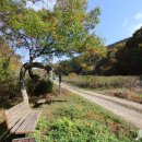 장안산 마실길 이미지