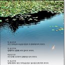 선근이네 이미지