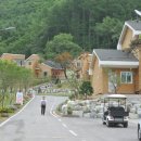 백야기업 | 공립 백야 자연휴양림 (충청북도)