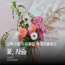 강북구청 수유역 꽃집 꽃사슴 원데이클래스 후기