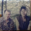 장 이용소 이미지